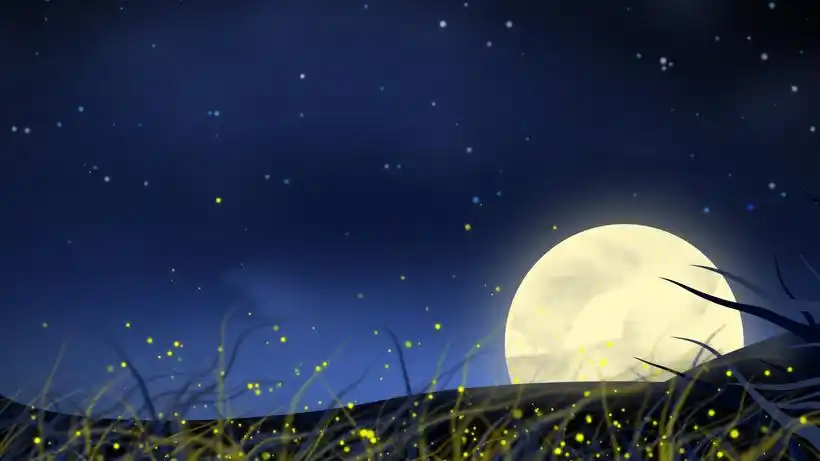 夜晚星空背景视频素材0