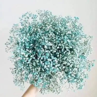 满天星图片高清图片唯美微信头像满天星图片大全