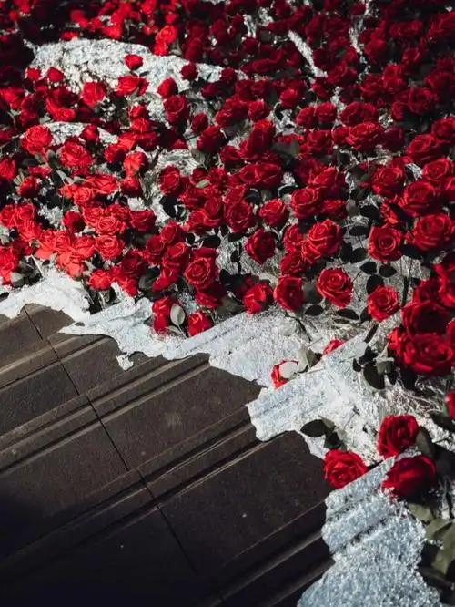 北京情人节打卡冰川里的玫瑰花海