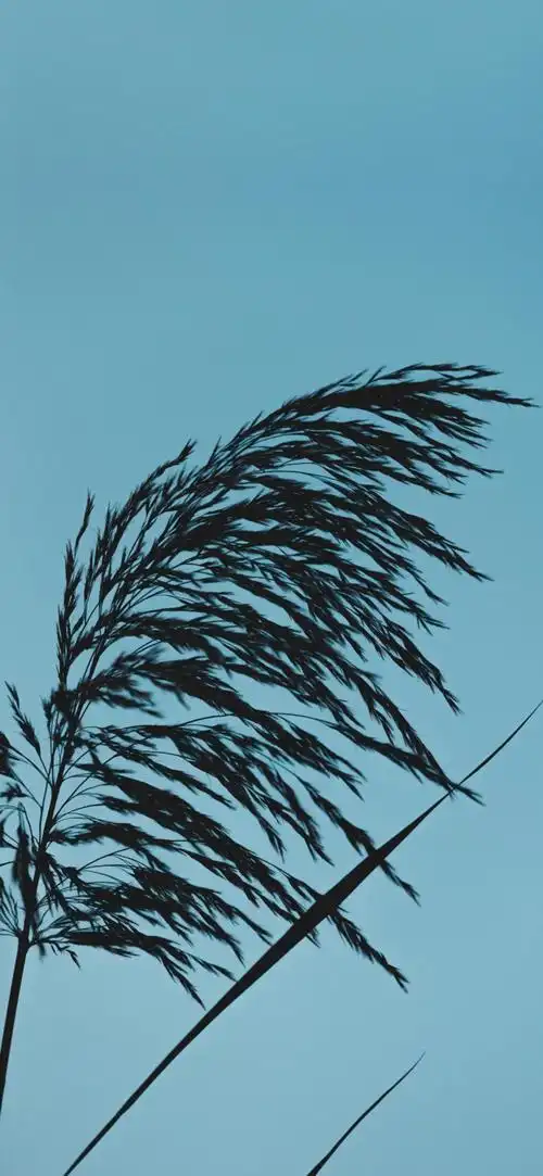 微信状态朋友圈背景图