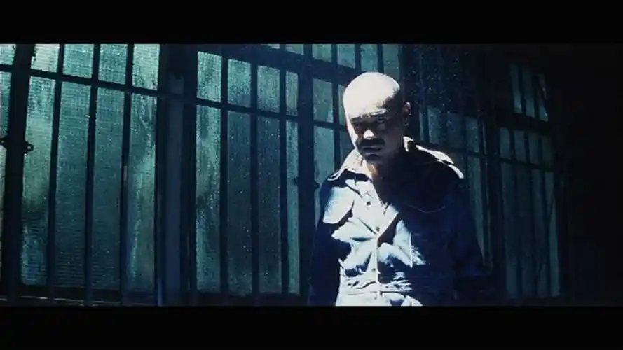 p>《暗花》是银河映像于1998年出品的警匪动作片,由 a target="