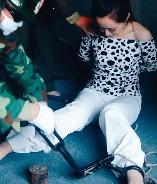 监狱长道出缘由|罪犯|女犯人_网易订阅