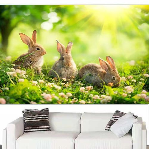 兔子海报小白兔灰兔儿童房可爱动物墙贴壁画挂画早教图装饰过年画