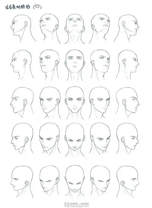 作业:动漫人物头部仰视,俯视的画法训练 - 积木 - 轻微课