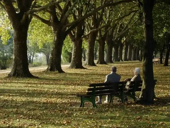 谁有夕阳西下一对老夫妻相拥看夕阳的图片
