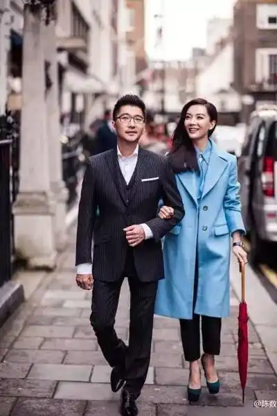 陈数是鹿晗的什么人原来她的丈夫比她更厉害