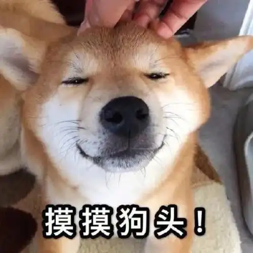 摸摸狗头表情包爸爸一脸慈祥笑摸你们狗头