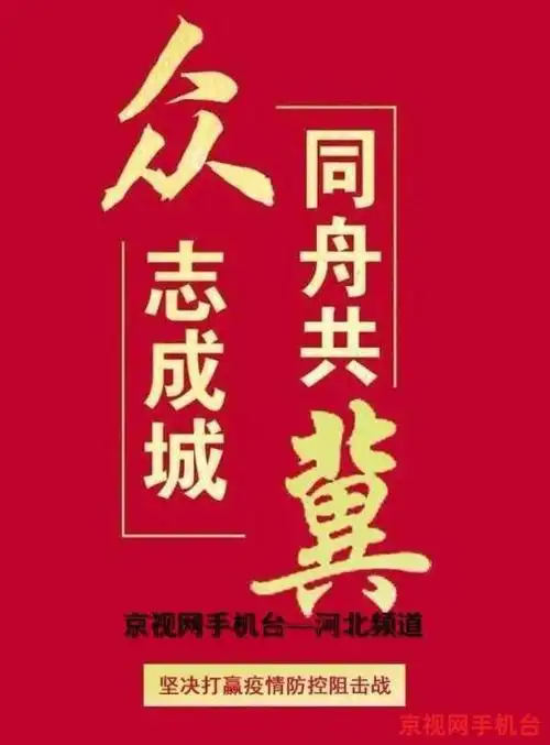 抗击疫情我们同路众志成城河北必胜