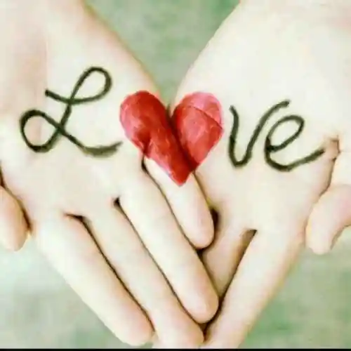 天若有情245604769头像