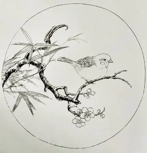 自学工笔禽鸟画:超清晰线稿