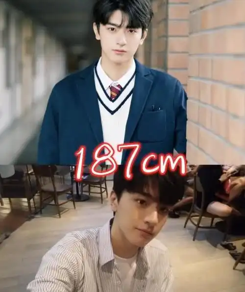 身高与颜值不符的男星赖冠霖林一气质脱俗心疼周震南