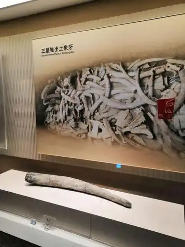 走进三星堆 爱上博物馆