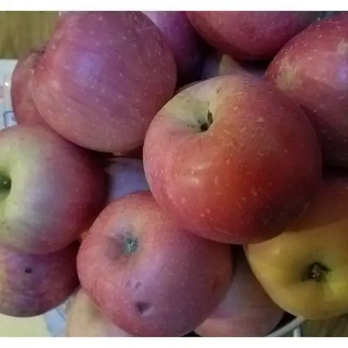 山东特产烟台栖霞红富士苹果5斤装 新鲜时令水果