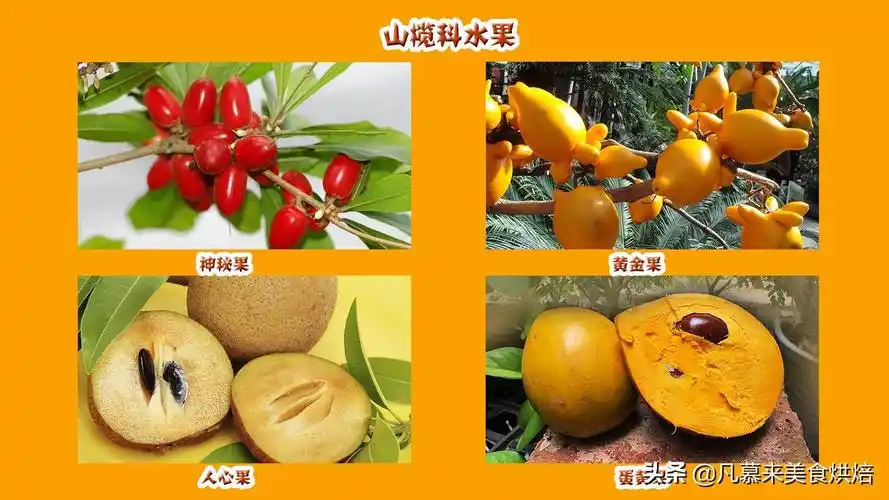 42个科154种水果别说吃过,你见过多少