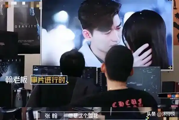 史上最烂的4部国产剧,一部比一部辣眼睛,全都被央视怒斥下架|张翰