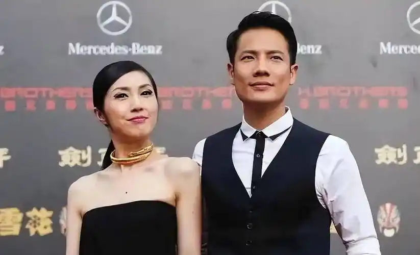 下面我们就一起来分析一下杨千嬅和老公丁子高的长相吧.