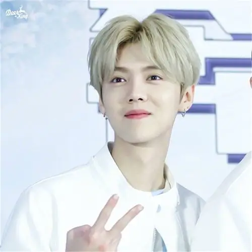 鹿晗同款假发男士短发韩版帅气中分短直发蓬松仿真头皮学生男发型