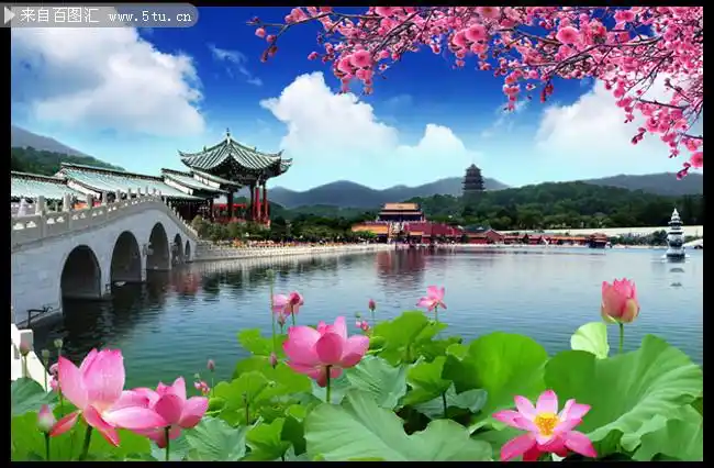 主题为山水风景,可用作自然风光,风景背景,荷花摄影,夏天等相关设计的