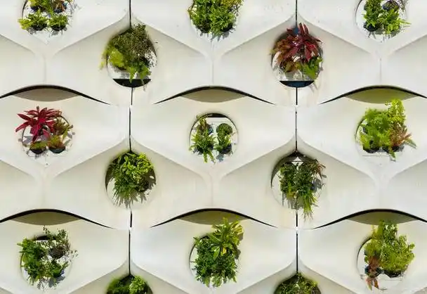 室内花园和垂直绿化是近年来受到越来越多关注的创意设计概念,旨在将