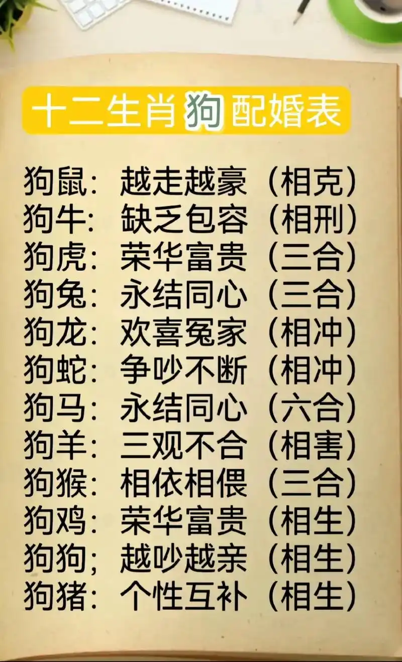 属相合不合狗和蛇的属相合不合新澳十二生肖狗和什么生肖相冲马的相刑