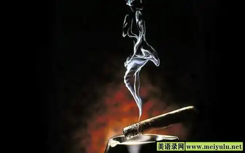 《芙蓉王》,我走遍了《 中华》大地,我爬上《红塔山》,想摘一支《红梅