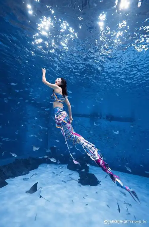 沪上最美人鱼打卡点:上海海昌海洋公园