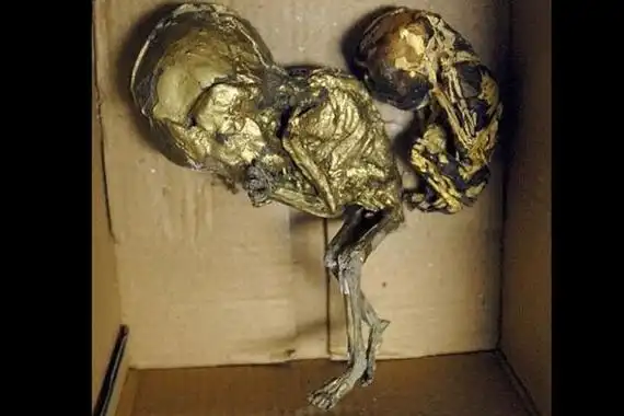 养小鬼是什么意思泰国古曼童和小鬼的区别