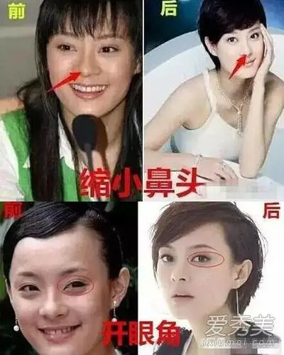 红单彩票app下载