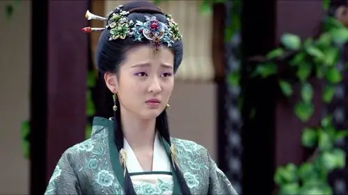 琅琊榜宇文念,八组鹅发给我的,全程这个表情,我真不是黑