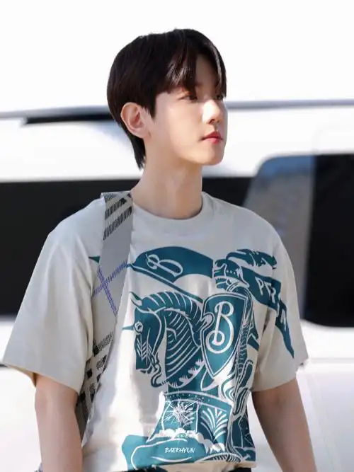 仁川出发7615  "我没话说了,帅死了91"  #边伯贤##baekhyun##边