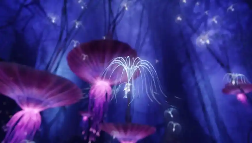 如何选择影院才能真正体验到划时代巨作阿凡达的真正魅力