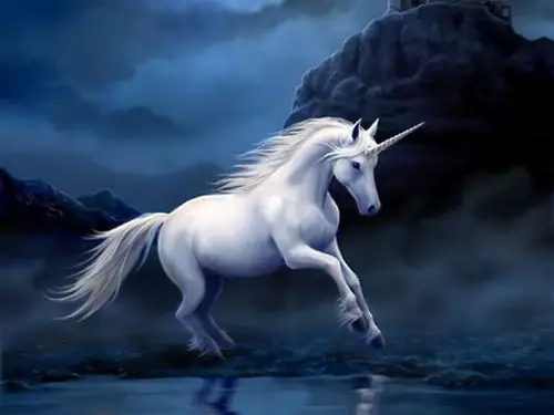 2019数百家独角兽公司阵亡:3大原因,5大陷阱,一地鸡毛