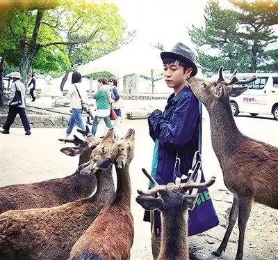 青峰郊游被小鹿亲吻一脸无辜获赞天然呆