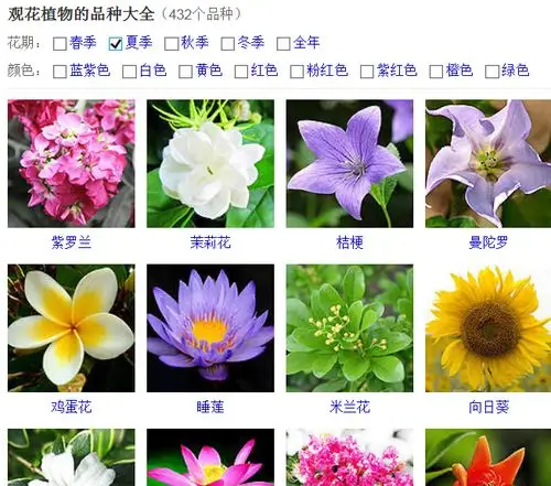 展开全部 亲,授人鱼不如授人以渔 请在百度里输入:观花植物的品种大全