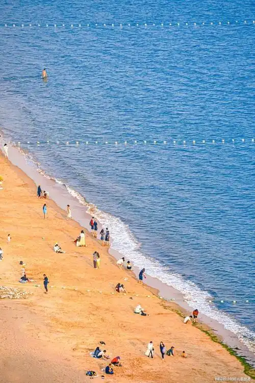 夏天快到了,快来青岛玩吧|渔村|大海|沙滩|小鱼山|大学路_网易订阅