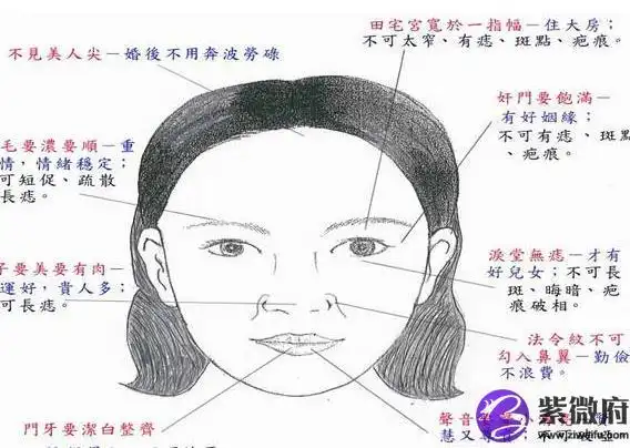 女人面相看婚姻是怎样的