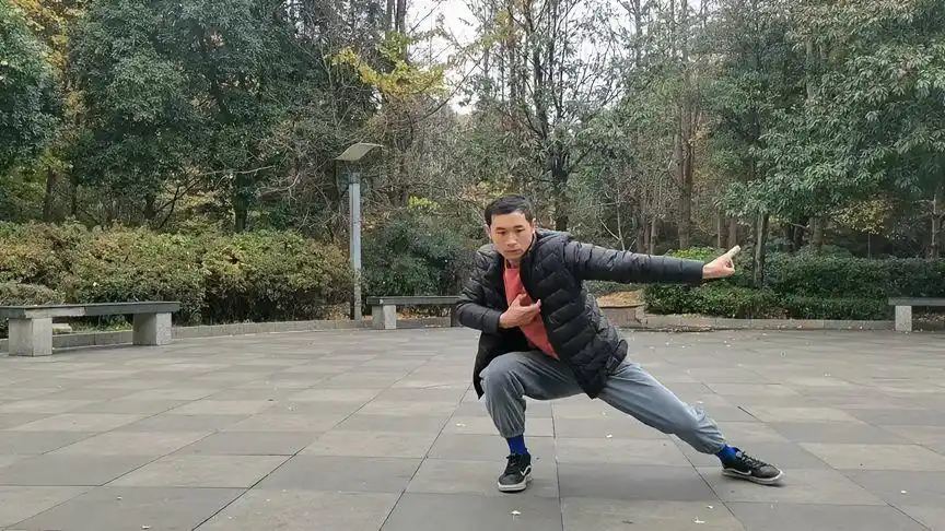 醉拳一路十八式练习#传统武术-体育视频-搜狐视频