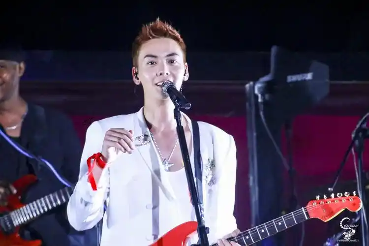 陈伟霆演唱会图聚集收藏二巡快来吧