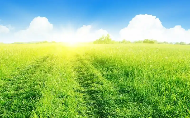 高清自然生态风景屏保电脑桌面主题壁纸图片下载(一)