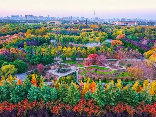 航拍图隋唐遗址植物园