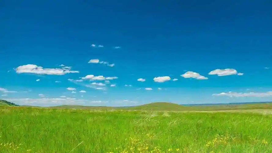 电脑桌面图片唯美(82张护眼电脑桌面壁纸)_闪电家修网