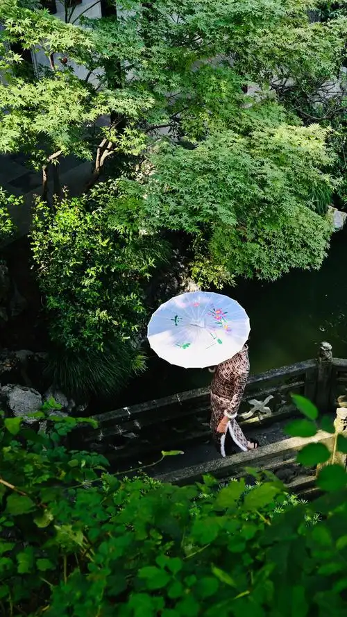 撑伞的旗袍美女