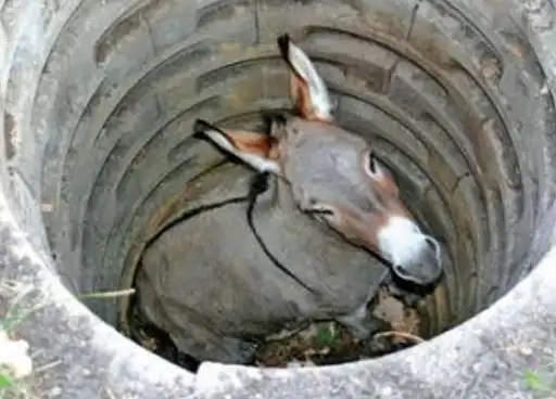 给自己挖个坑跳进去吧