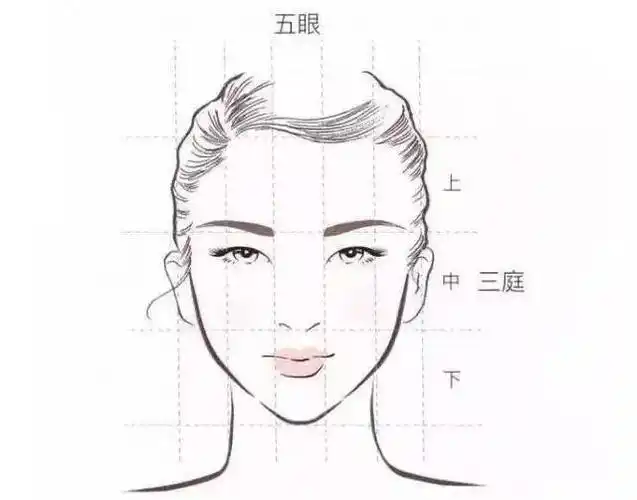 什么样的发际线好看