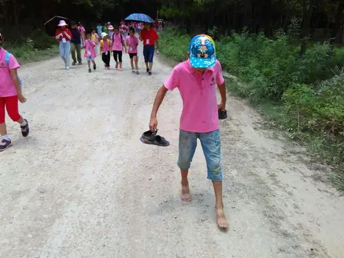 桂鸿伏羲夏令营徒步之旅《赏荷花》