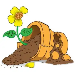 插图的堕落破碎的器皿.体制和教育材料的理想选择照片