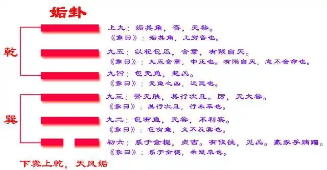 易经六十四卦之姤卦