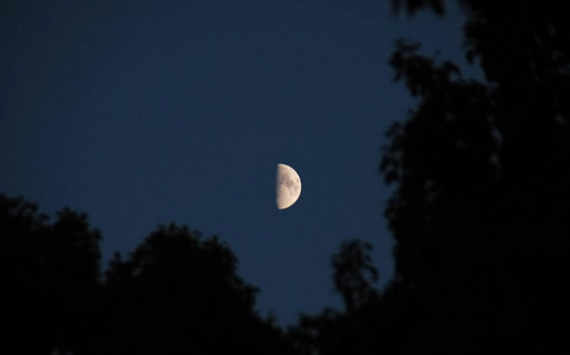 天上没有一颗星星,夜晚很安静,风吹着树叶沙沙作响,时不时的电闪雷鸣