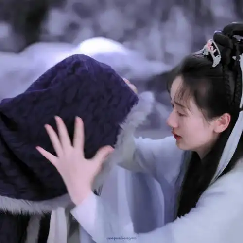 成毅│禹司凤 袁冰妍│褚璇玑