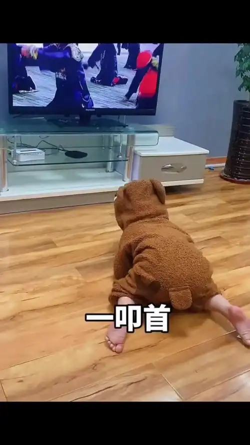 人类幼崽沉浸式追剧这也太可爱了吧北岸初晴